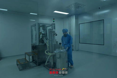 泰安各縣市區(qū) 功能區(qū)迎來重點項目建設(shè) 年中考 一