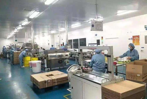 45億粒 落戶寶應經濟開發區