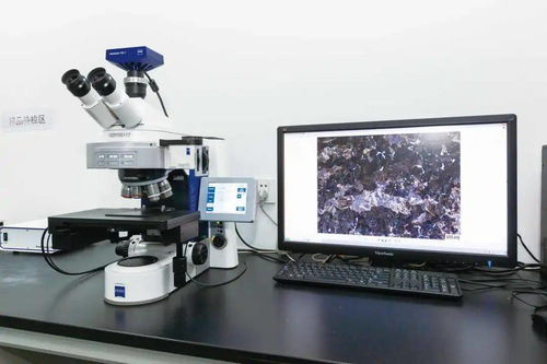 永鋼 硬核實力的背后——獲江蘇省省長質(zhì)量獎的汽輪機(jī)研發(fā)與銷售之道